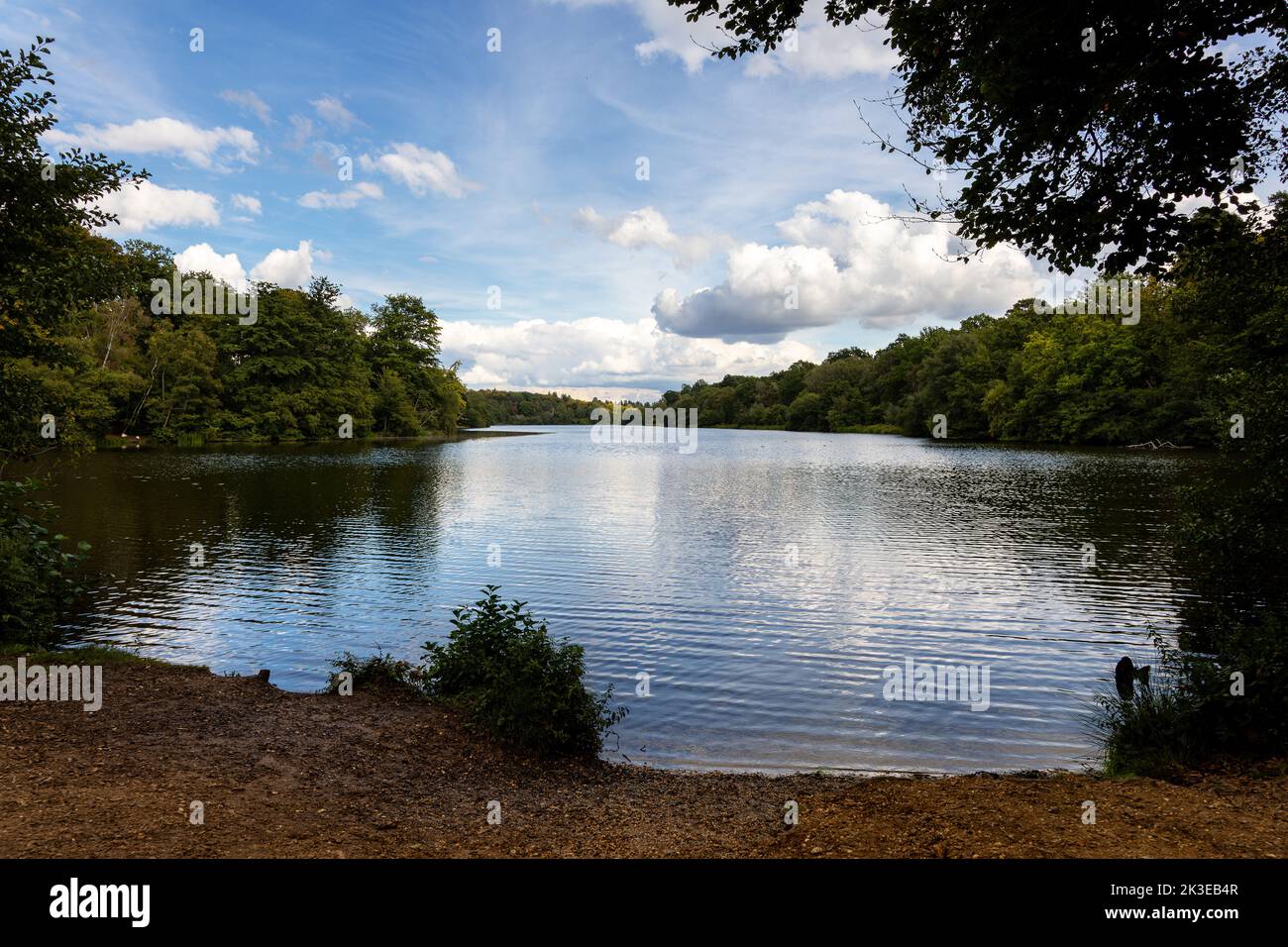 Virginia Water lakes - part of Windsor Great Park, Surrey. Stock Photo