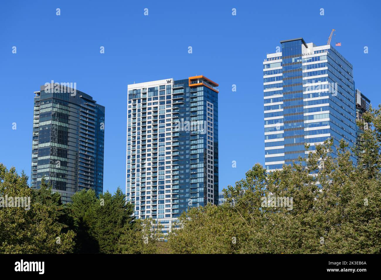 Bellevue, WA, USA - September 07, 2022; Mixed use skyscrapers in Bellevue including W and Westin hotel against blue sky with tree foliage foreground Stock Photo