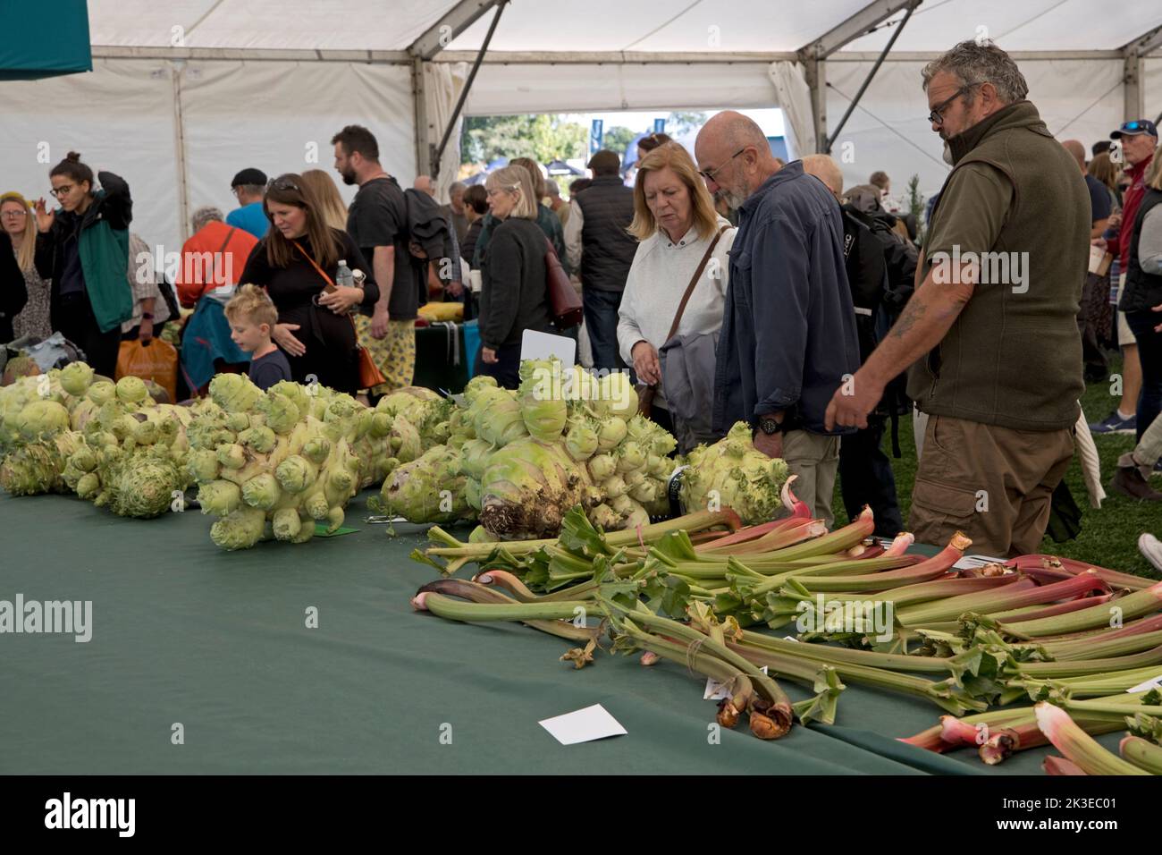 Visitors looking at some of the giant vegetables at Three Counties Autumn Show  Great Malvern, UK Stock Photo