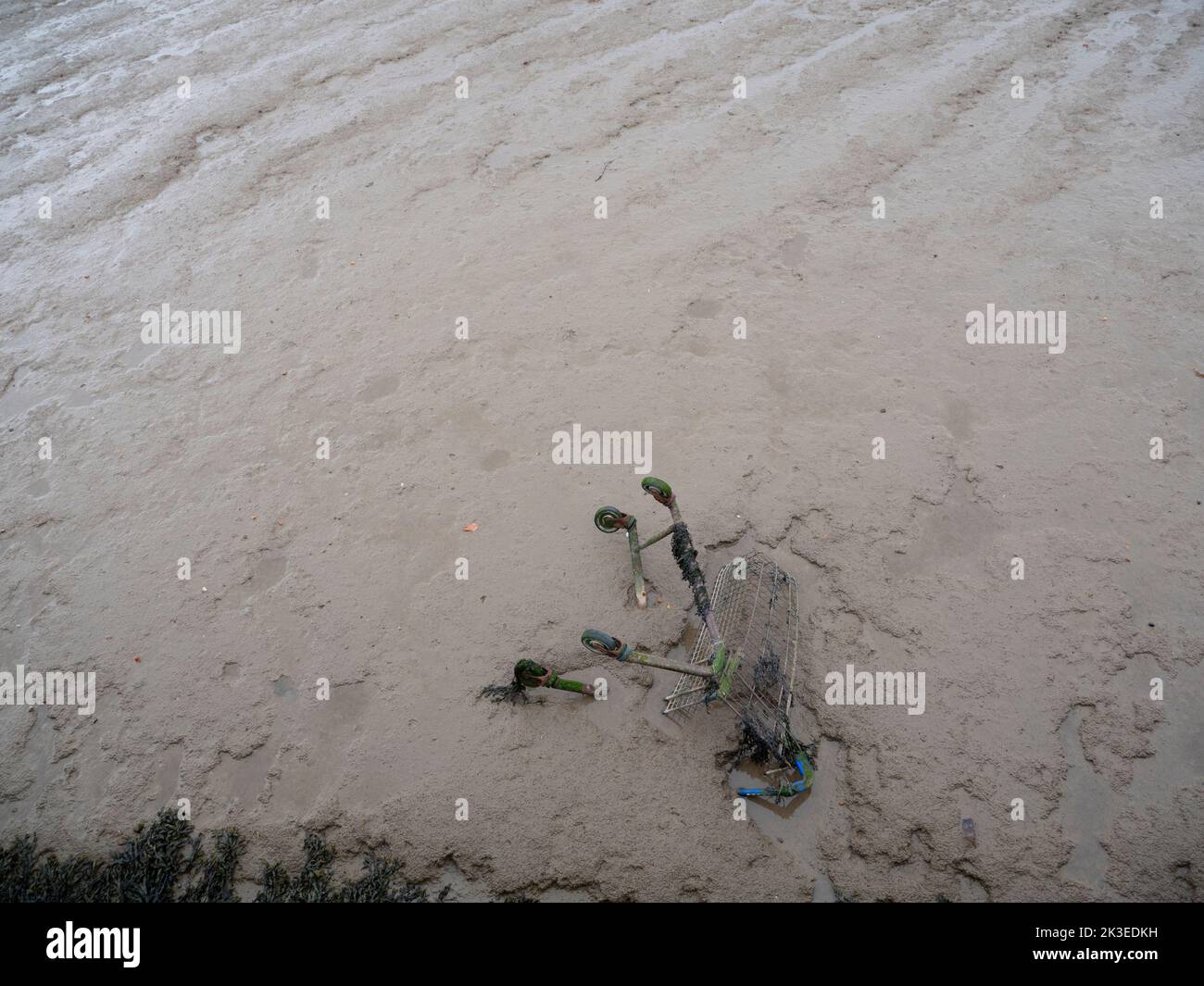Gravesend Kent UK Discarded shopping trolley submerged in mud in the River Thames at Gravesend, covered with weeds and moss Stock Photo