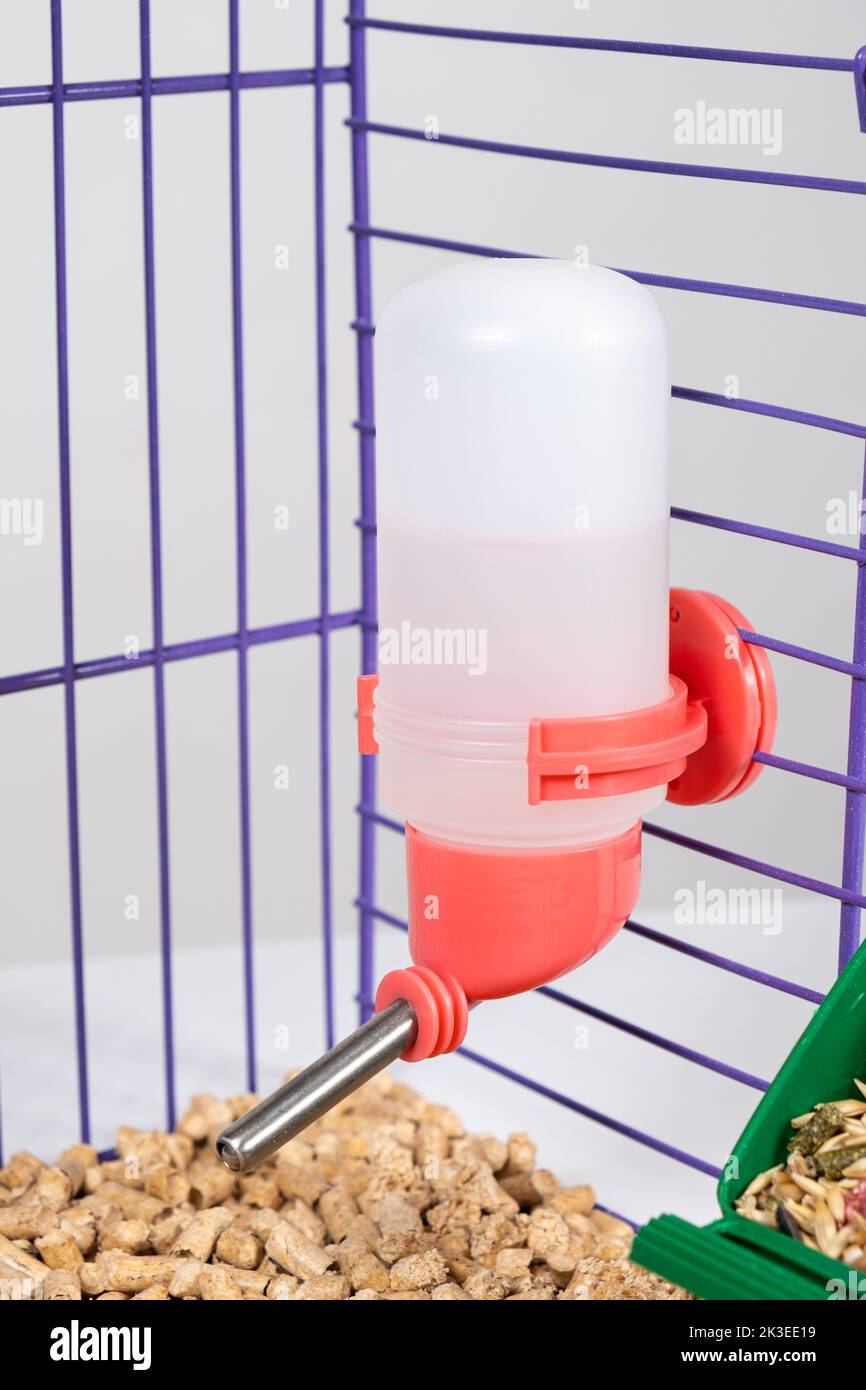 Drinker for rodent, rabbit, degu, chinchilla, guinea pig and rat in a cage Stock Photo Alamy