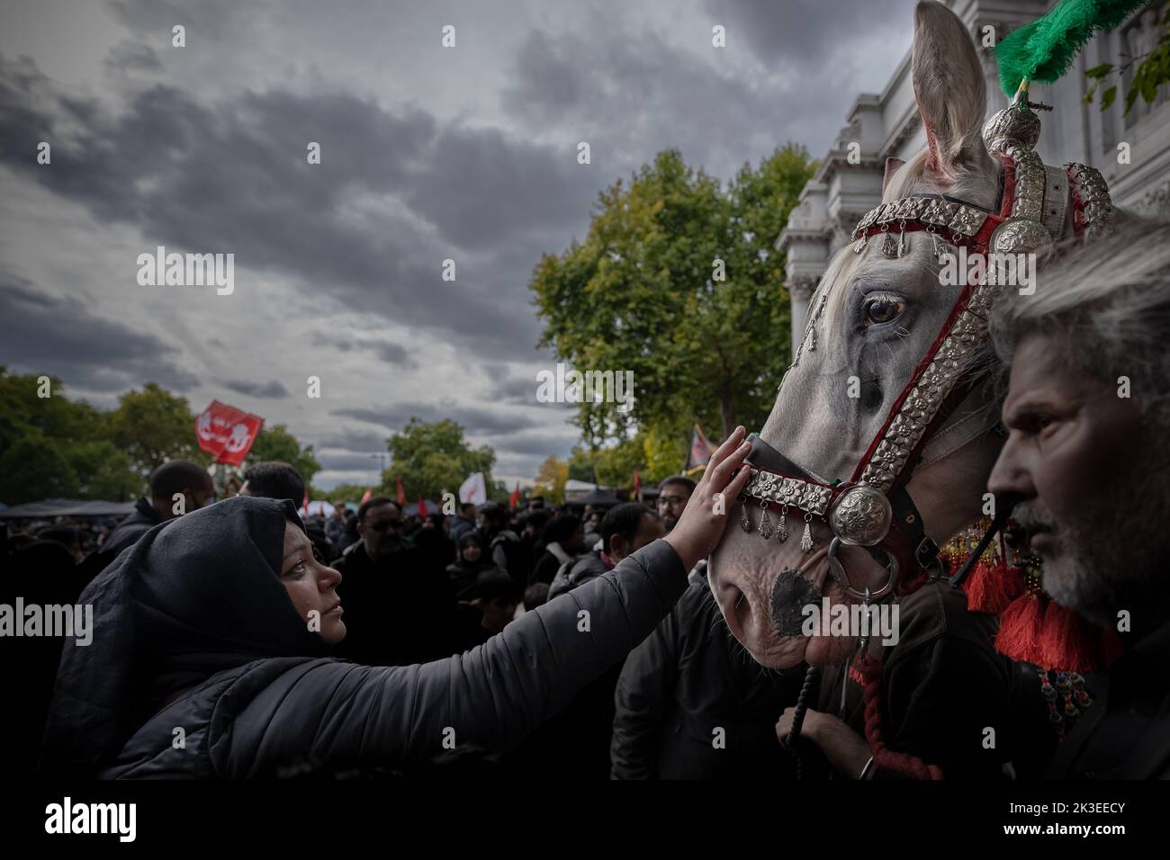 London, UK. 25th September 2022. Arbaeen Procession. Muslims greet ‘Zuljanah’, a grey Arabian Stallion representing the horse that belonged to Husayn ibn Ali (626-680). Hundreds of predominately Shia Muslims gather at Marble Arch for Arbaeen commemorations and procession marking the end of the 40-day mourning period for the seventh-century killing of Iman Hussein, the grandson of Prophet Muhammad. Credit: Guy Corbishley/Alamy Live News Stock Photo