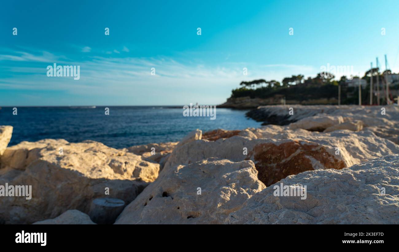 Waterfront Rocks Trees on coastal rocks hi-res stock photography and images - Alamy