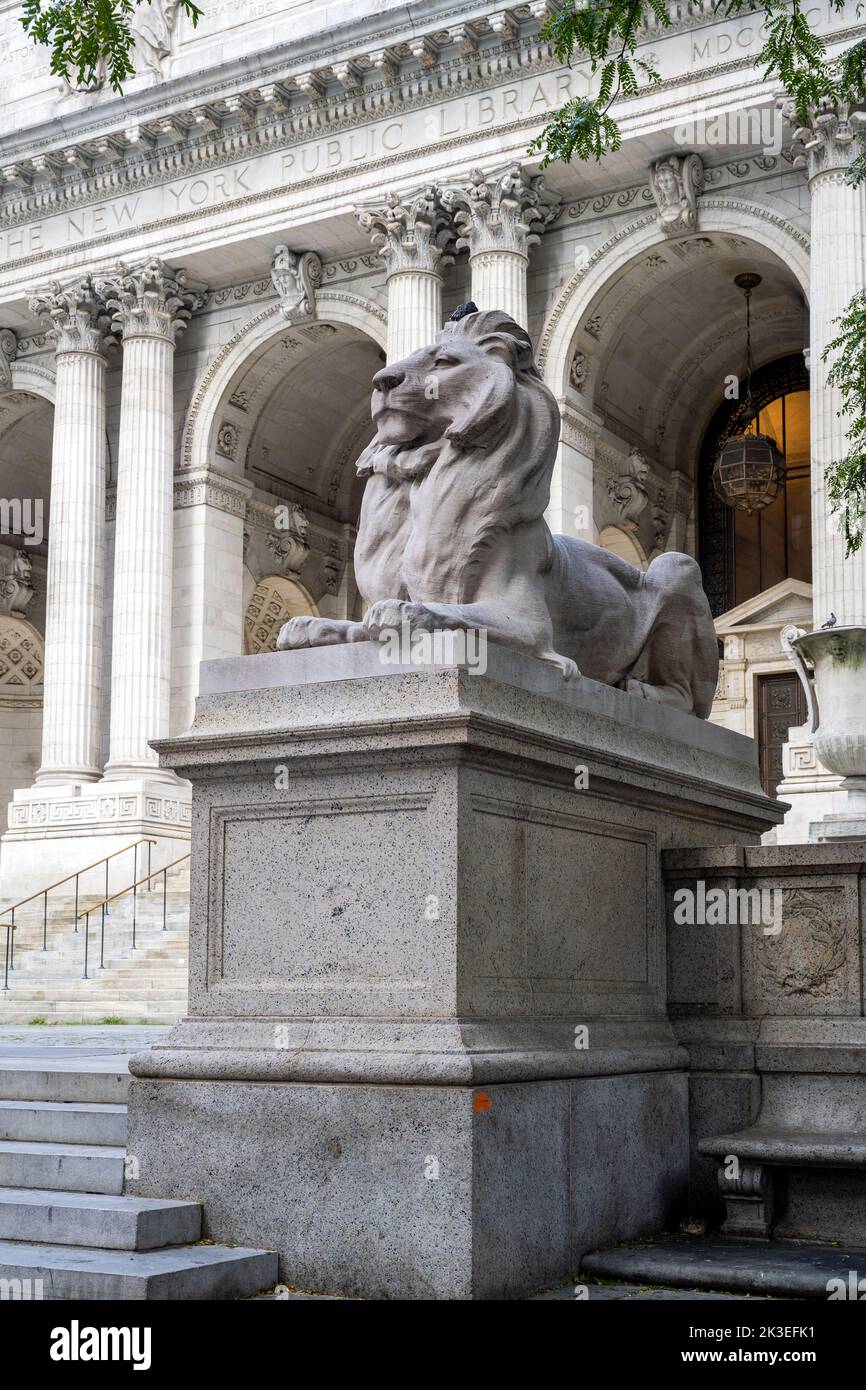 Lion statue in front of the New York Public Library, Manhattan, New York, USA Stock Photo