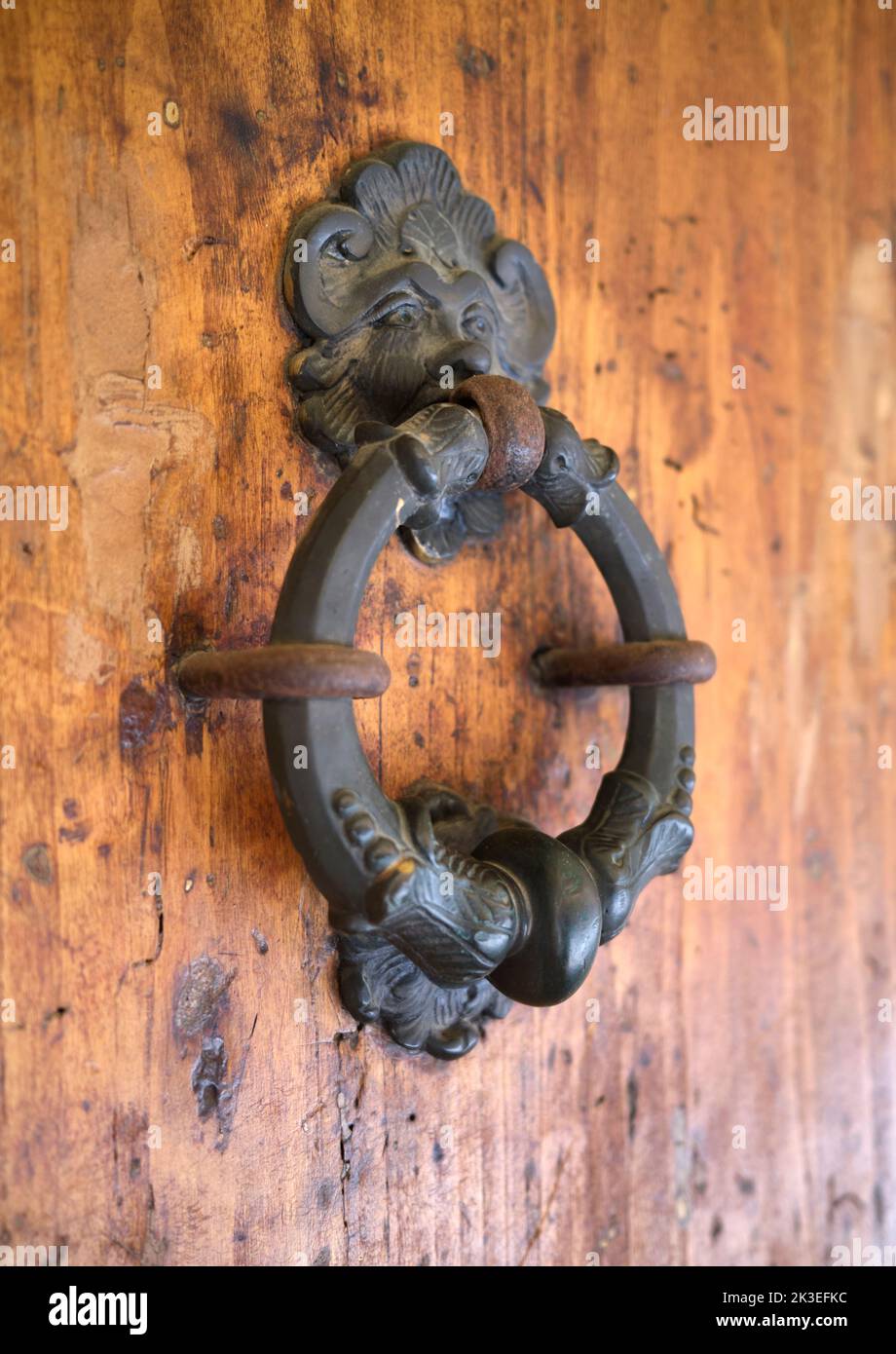 Ornate Door Knocker Casa Morandi Bologna Italy Stock Photo Alamy
