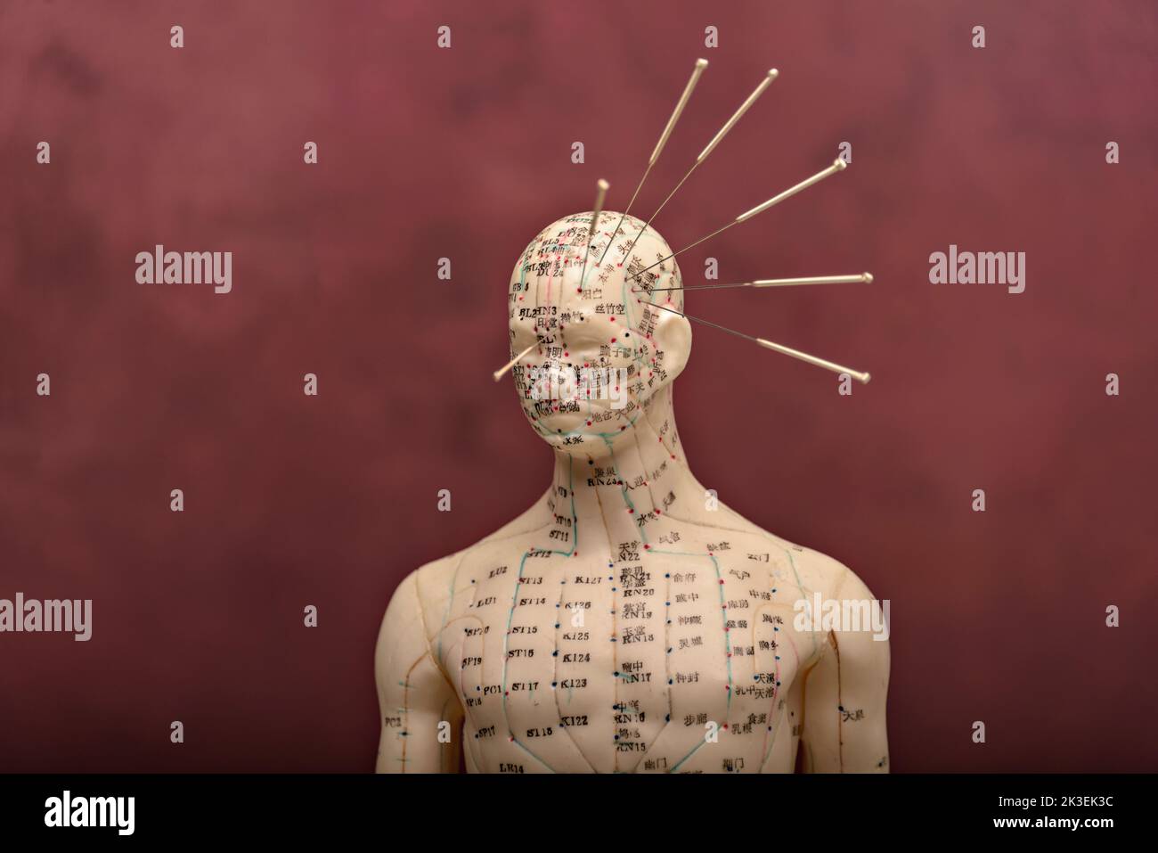 acupuncture model with needles in the head Stock Photo Alamy