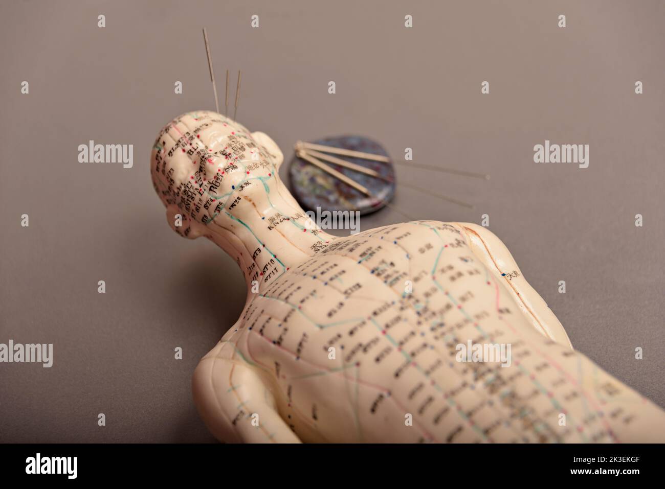 Mannequin with acupuncture points and meridians Stock Photo Alamy