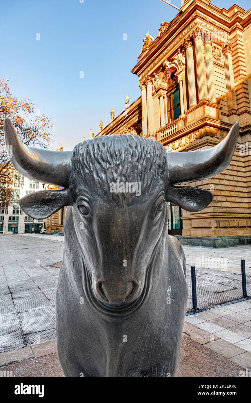 The struggle between bulls and bears symbolizing rising or falling financial markets. Stock Photo