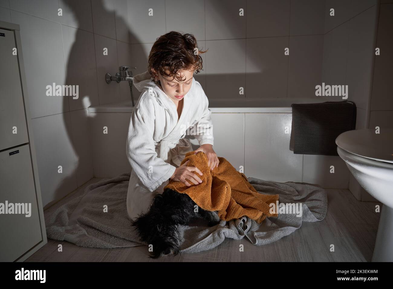 Boy wiping dog in bathroom Stock Photo Alamy