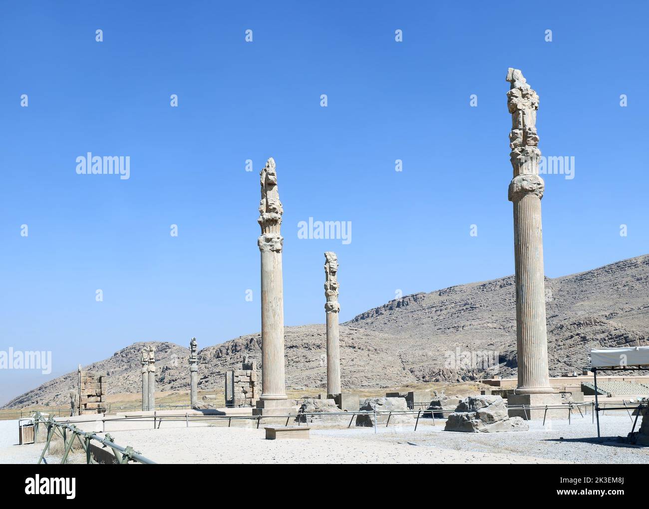 Columns and ruins of Apadana Palace built by Darius the Great, Persepolis,  Iran. UNESCO world heritage site Stock Photo