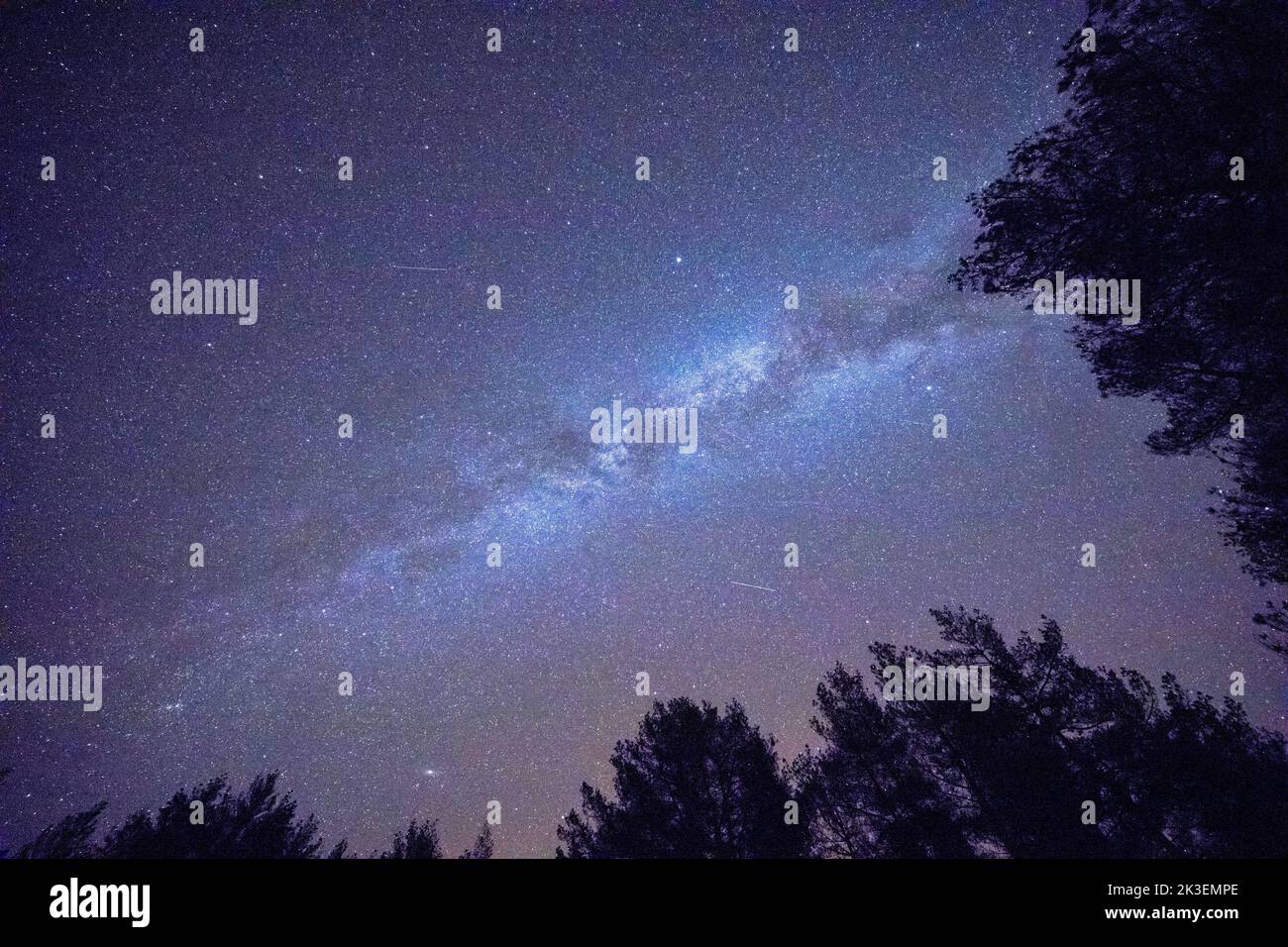 Starry sky with Milky way seen from mountain through trees in forest Stock Photo