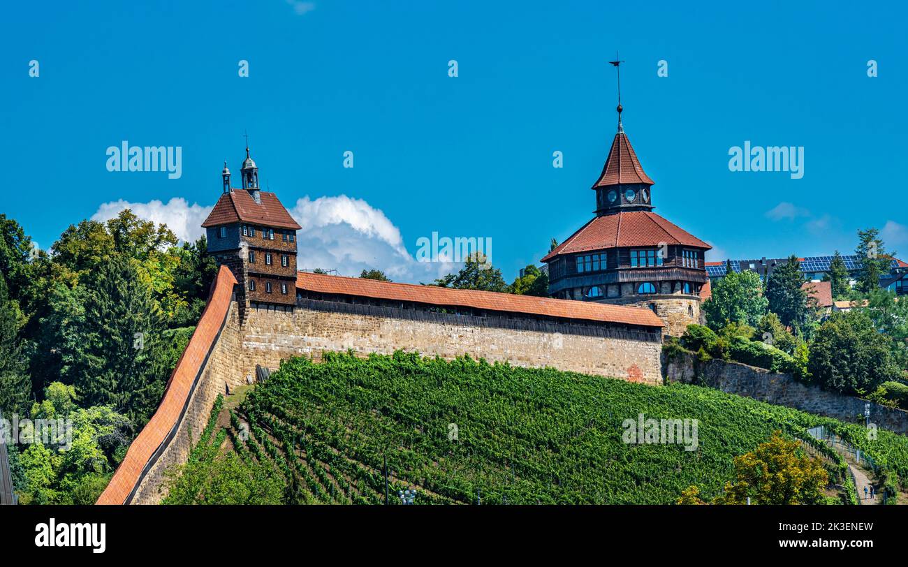 arbeitsagentur esslingen am neckar