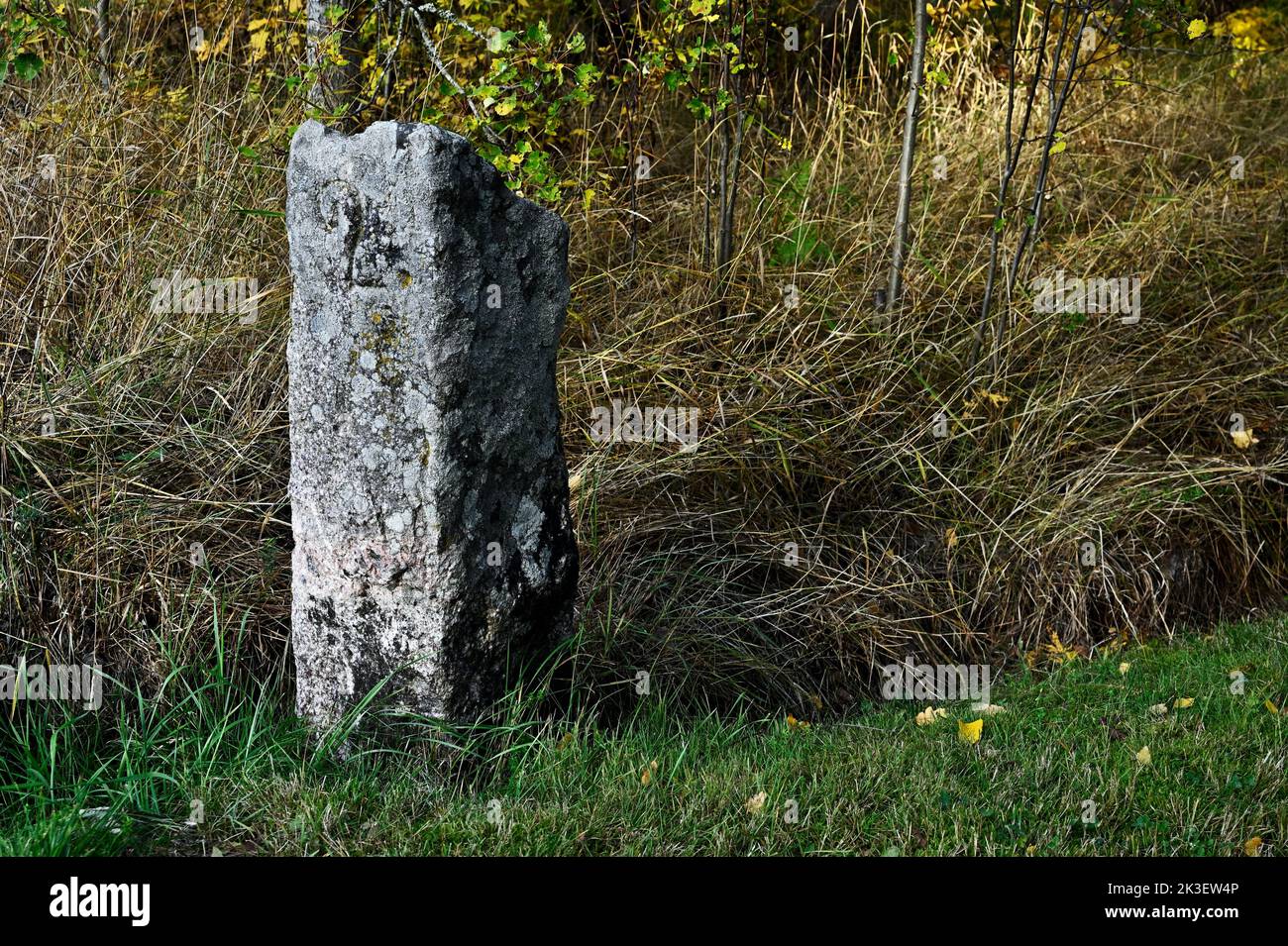 granite boundary stone with moss in the forest Stock Photo