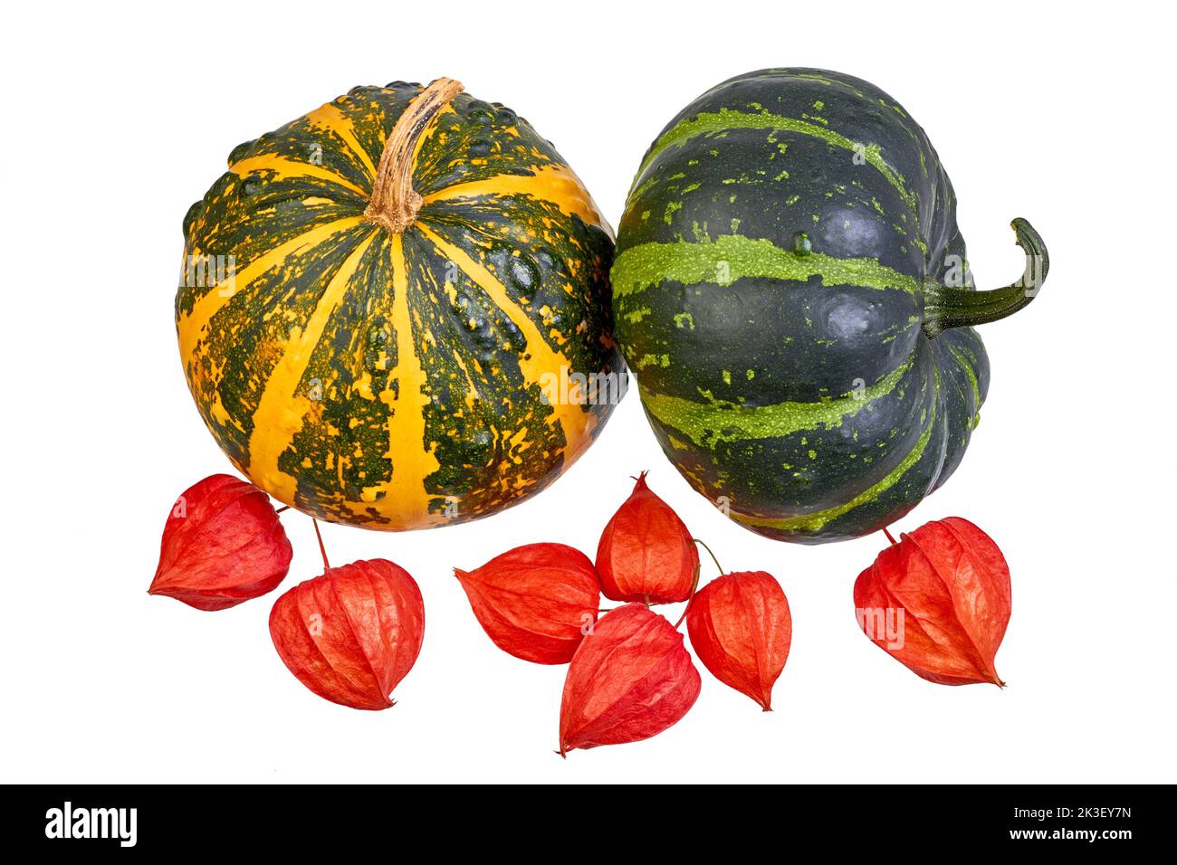 Two decorative pumpkins and physalis fruits isolated on white background Stock Photo
