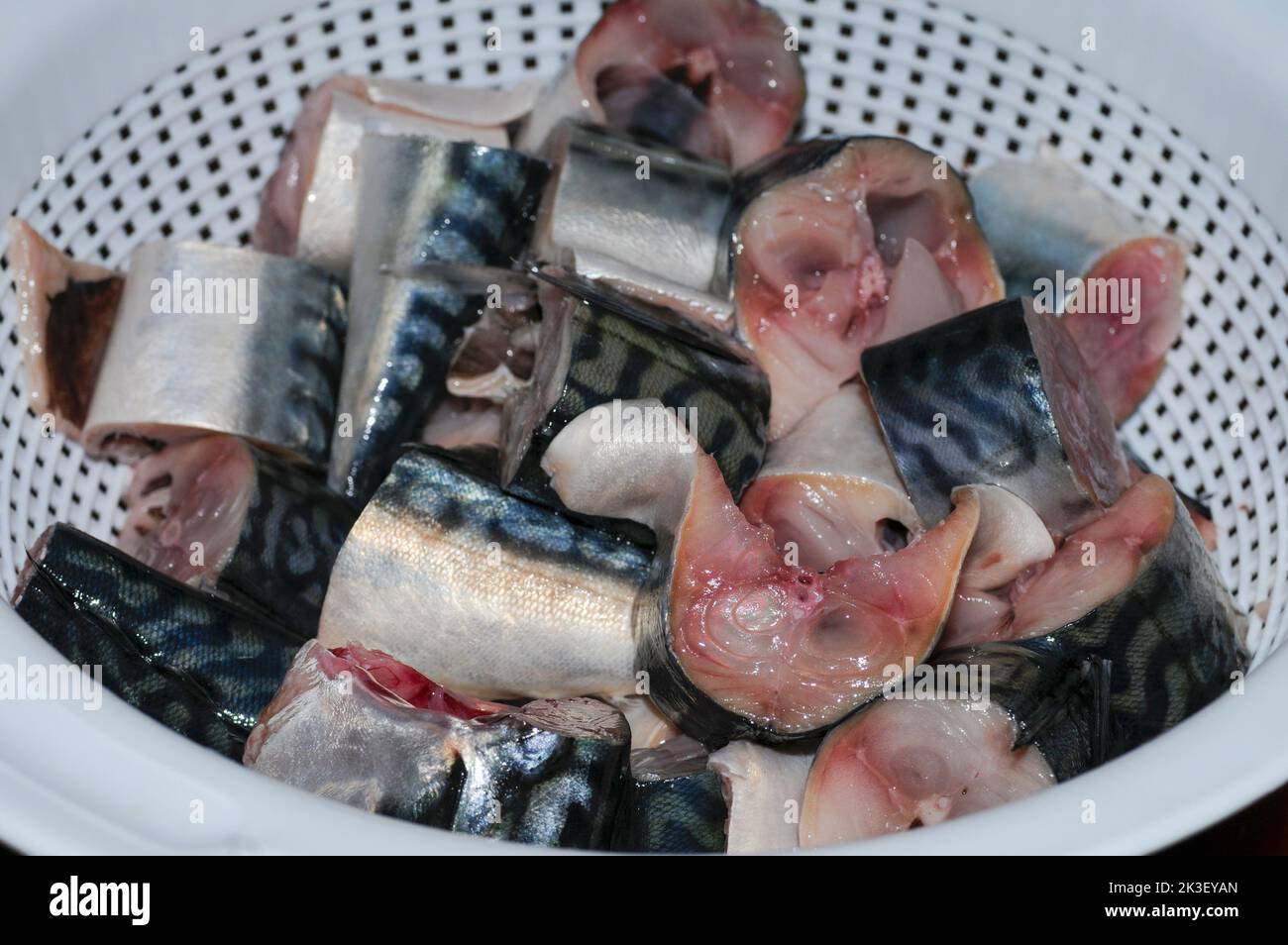 Clean mackerel, ready to be cooked Stock Photo Alamy