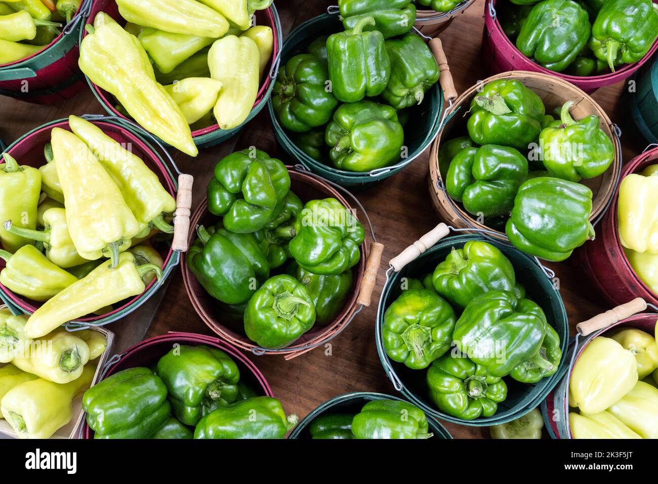 Organic and fresh green peppers in the case at the market Stock Photo