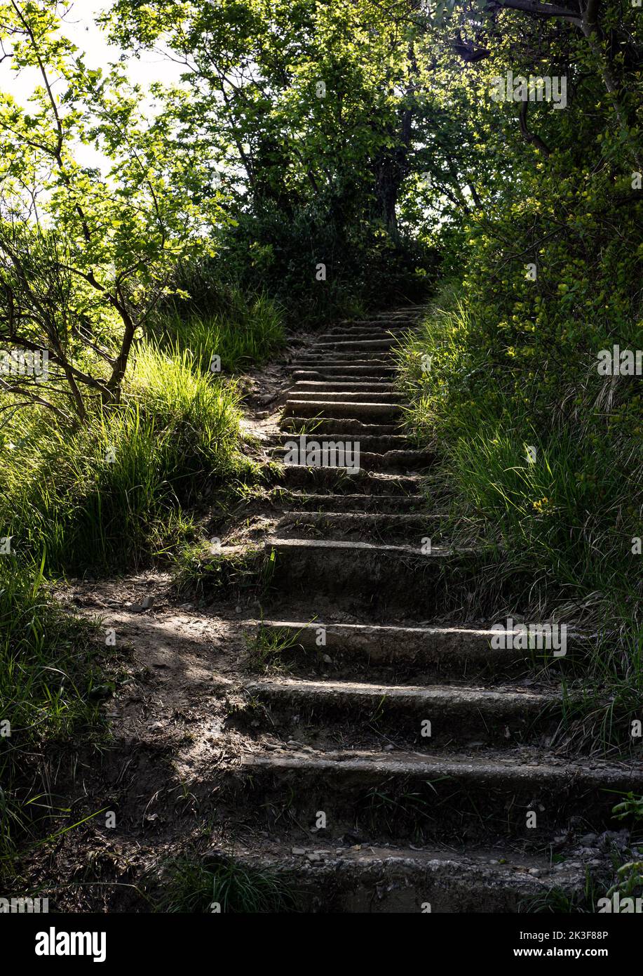 Steps in the natural environment leading somewhere in the uphill. Stock Photo