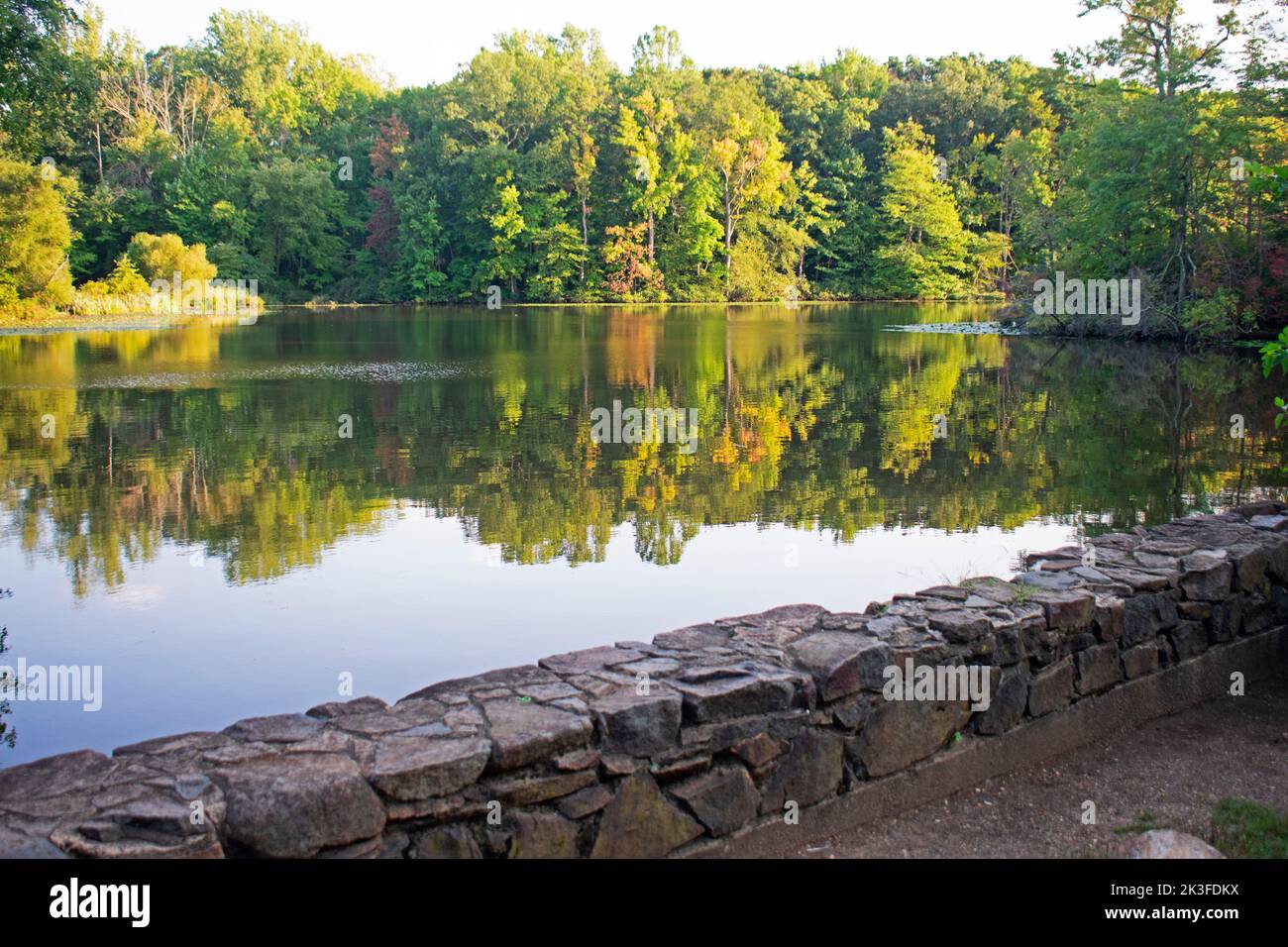 Reflections of trees and leaves in lake at Davidson's Mill Pond Park on a bright sunny day -12 Stock Photo