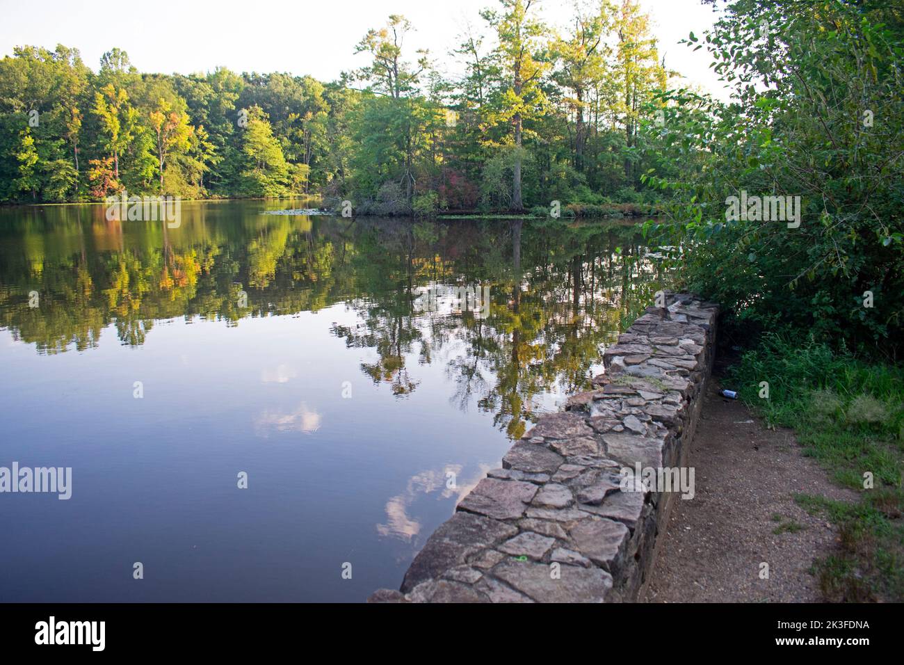 Reflections of trees and leaves in lake at Davidson's Mill Pond Park on a bright sunny day -13 Stock Photo