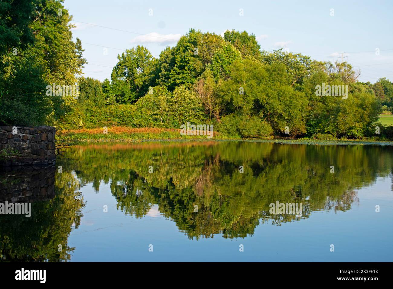 Reflections of trees and leaves in lake at Davidson's Mill Pond Park on a bright sunny day -15 Stock Photo