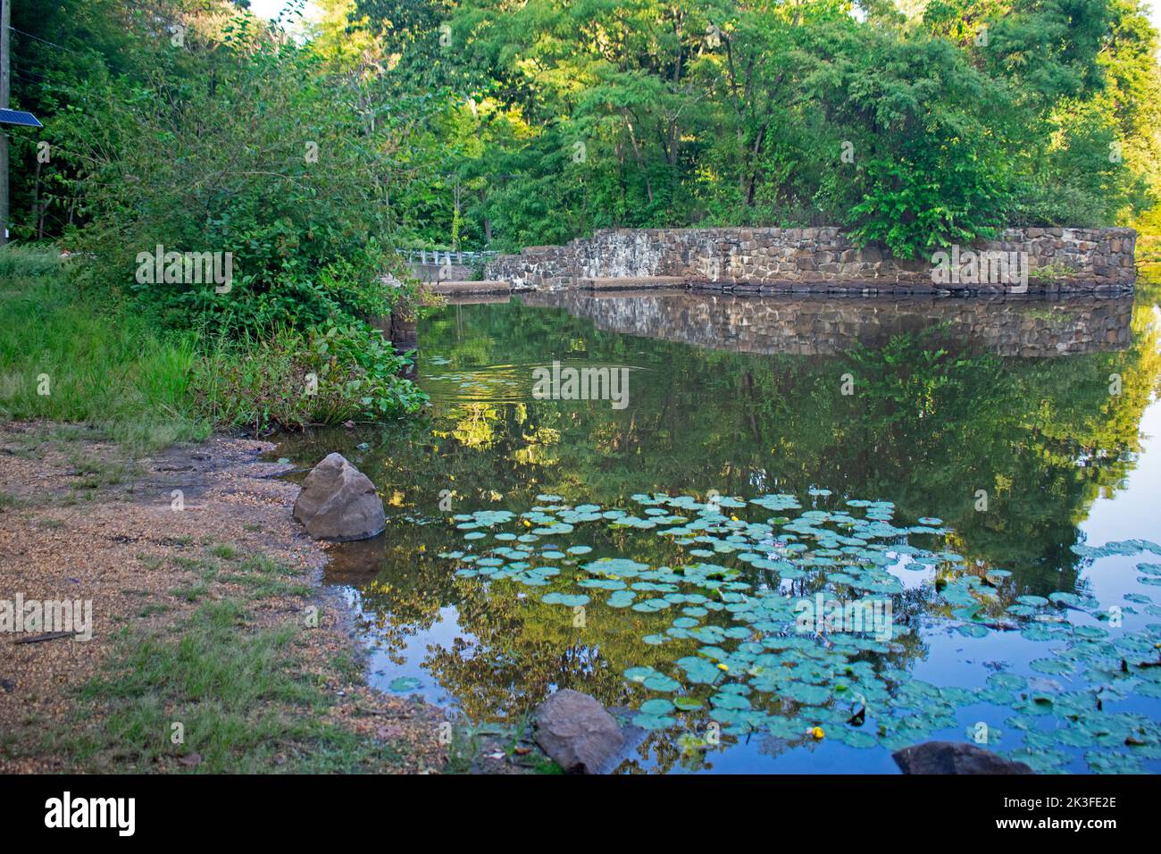Reflections of trees and leaves in lake at Davidson's Mill Pond Park on a bright sunny day -16 Stock Photo