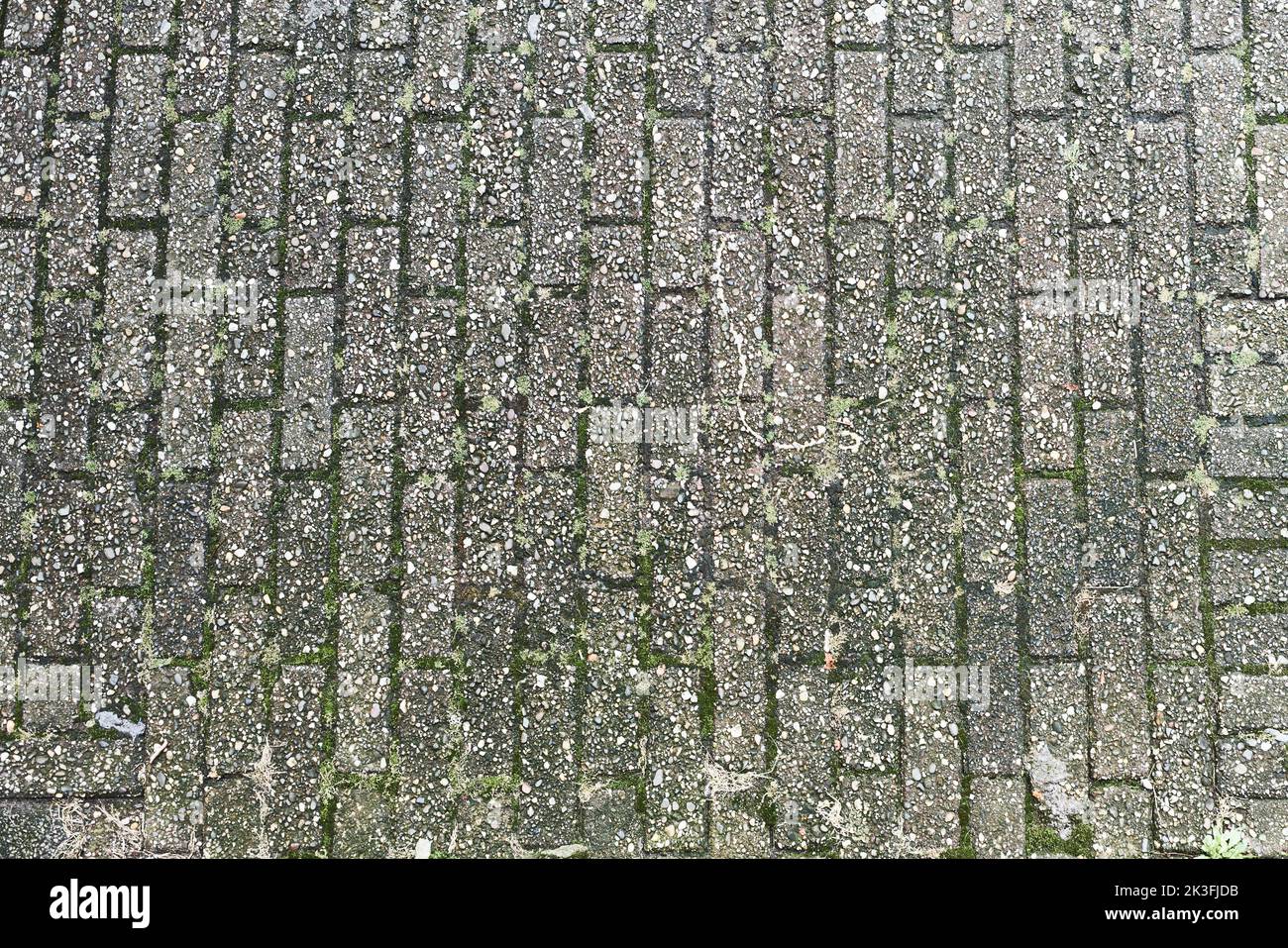 Texture of a cobble granite pavement Stock Photo - Alamy