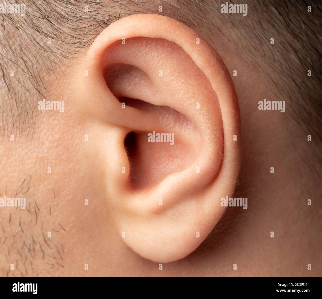 Clean human ear close up on man head Stock Photo