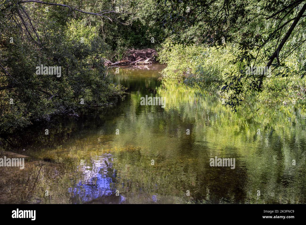 View of the Avon river near Salisbury on a summer afternoon, Wiltshire, England Stock Photo