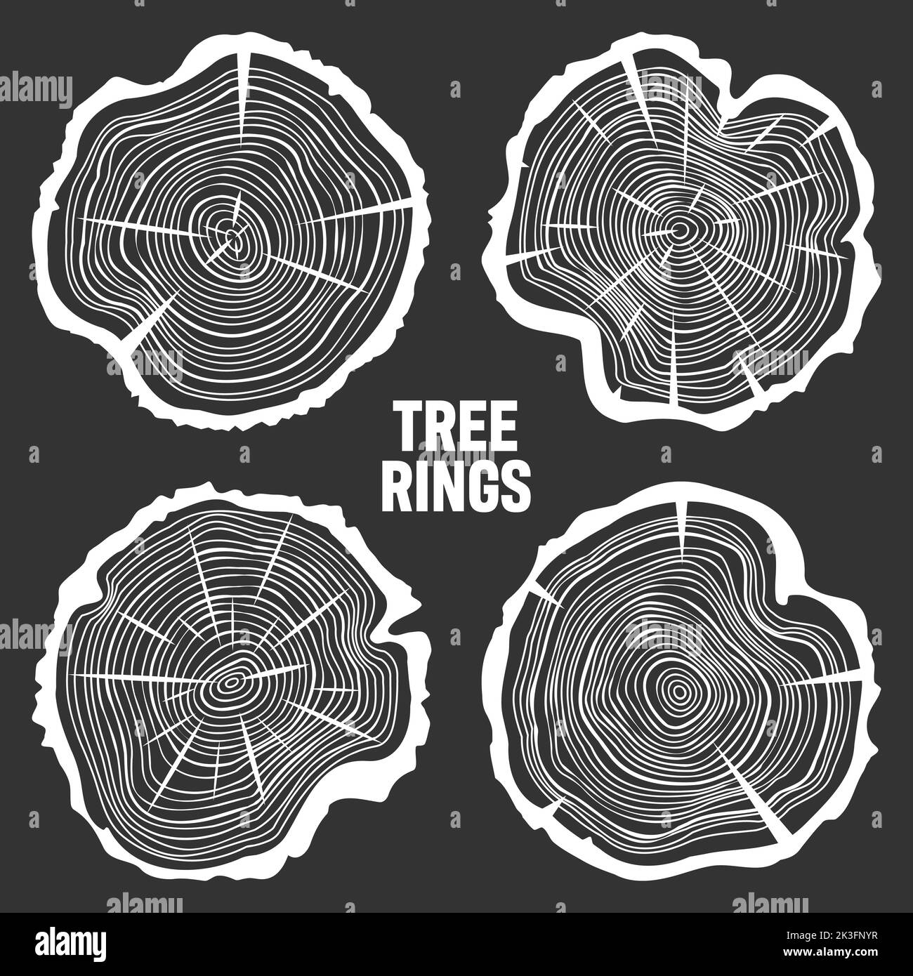 White round tree trunk cuts with cracks, sawn pine or oak slices ...