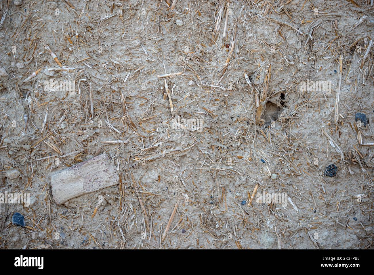 Detail of mud walls of Bahla Fort Citadel, Oman Stock Photo