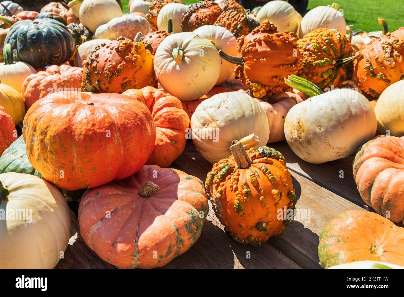 Pumpkins for sale at a farm market near Fontana, Wisconsin, America Stock Photo