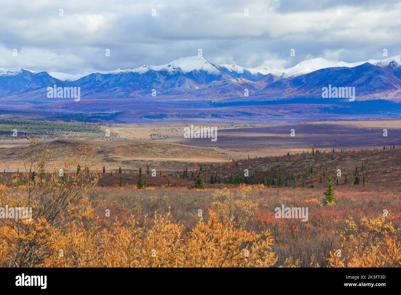 Scenic Viewpoint of Denali National Park Alaska Stock Photo
