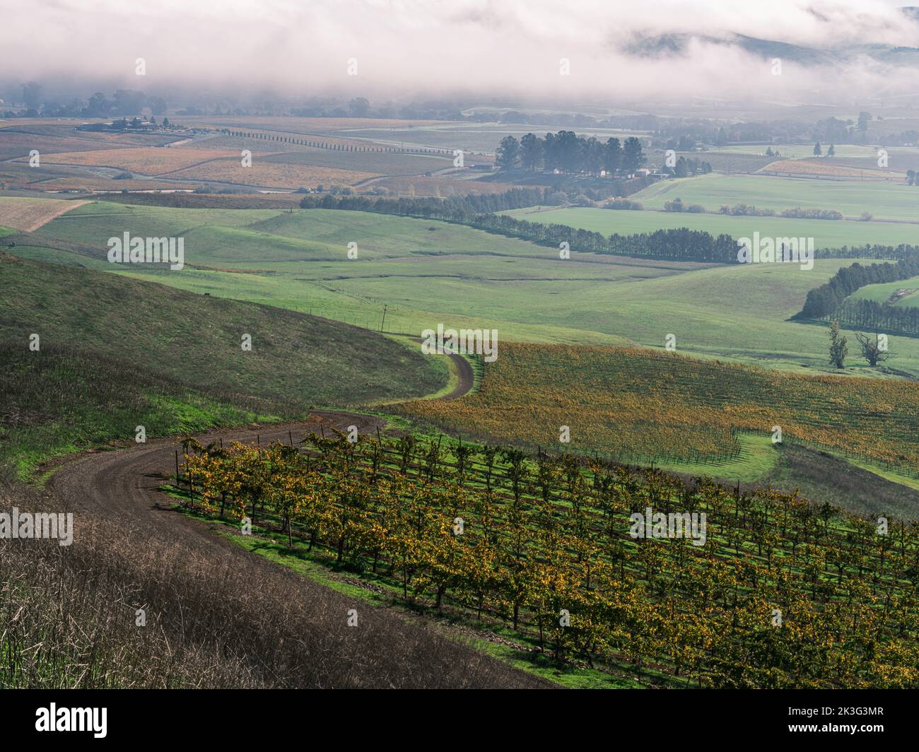 Autumn Landscape of Napa Valley Wine Region, California Stock Photo