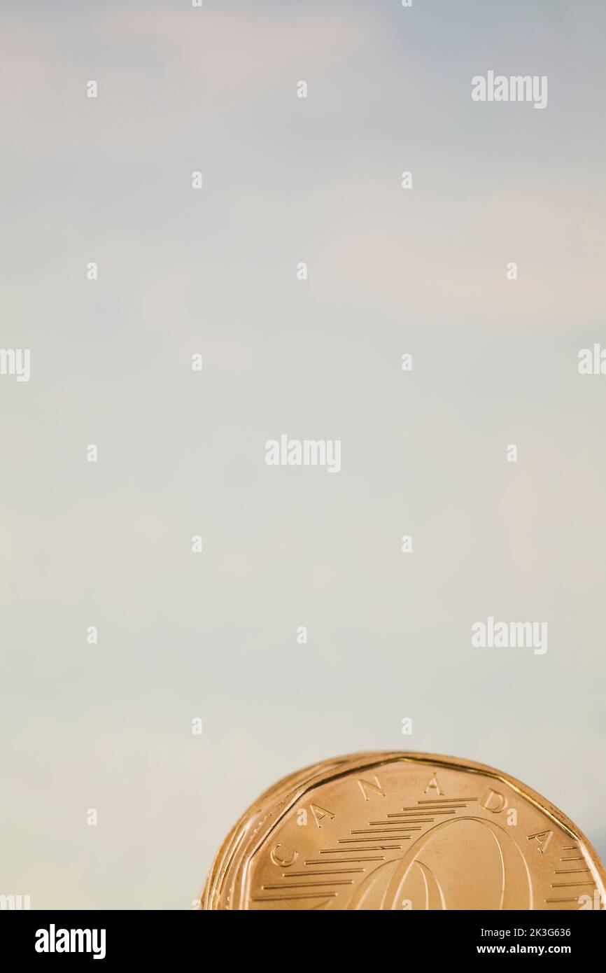 Canadian one dollar coin on blue nuanced background. Stock Photo