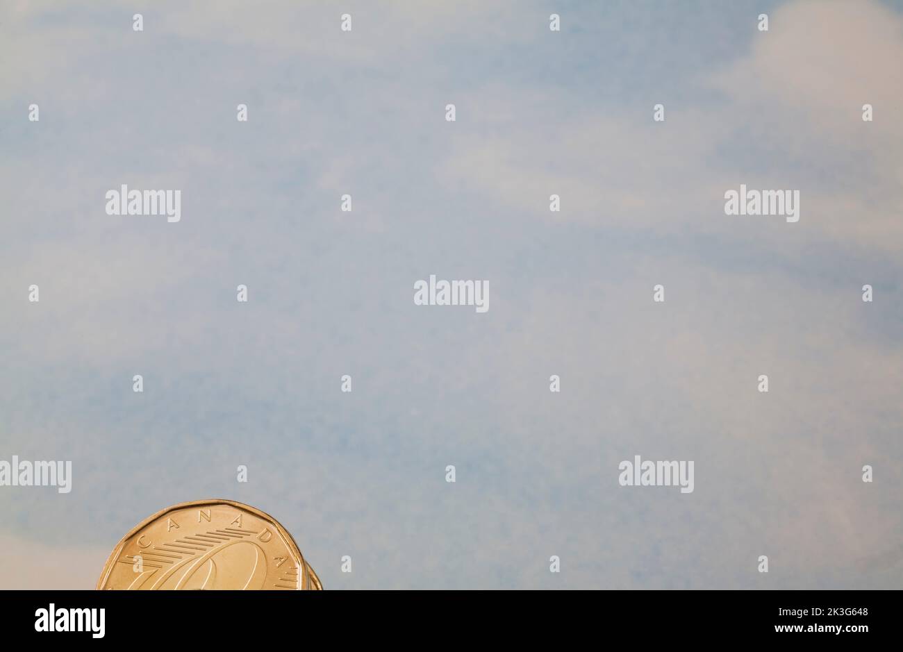 Canadian one dollar coin on blue nuanced background. Stock Photo