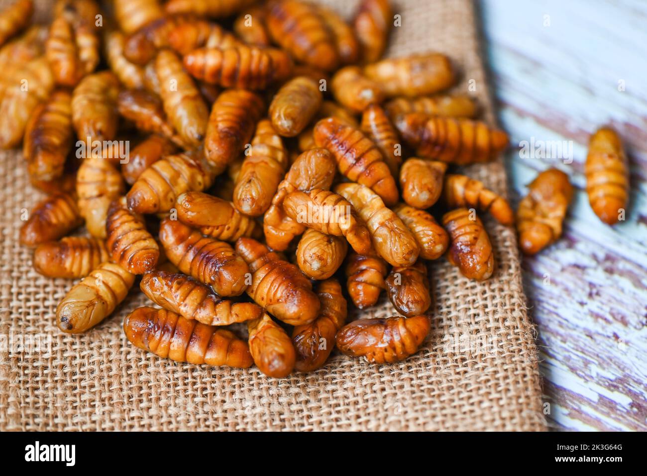 pupa on sack background, fry silk worms - fried pupa for food beetle worm Stock Photo