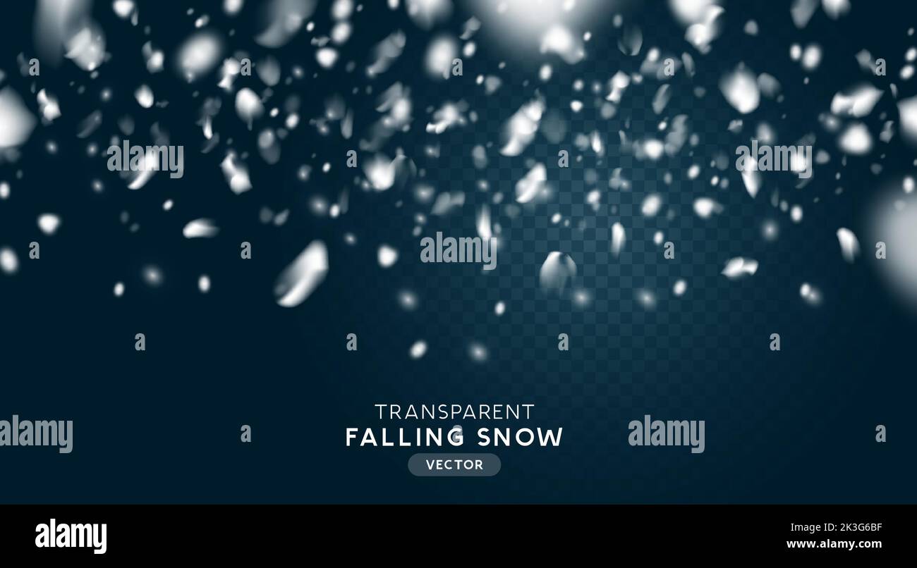 Faling winter snow flakes, realistic transparent snowfall effect. Vector illustration. Stock Vector