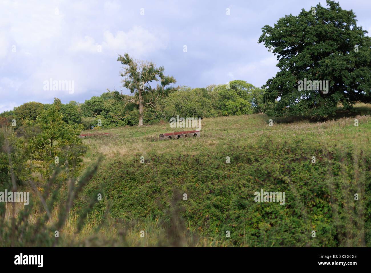Small wooden coop or animal house in the British countryside Stock Photo
