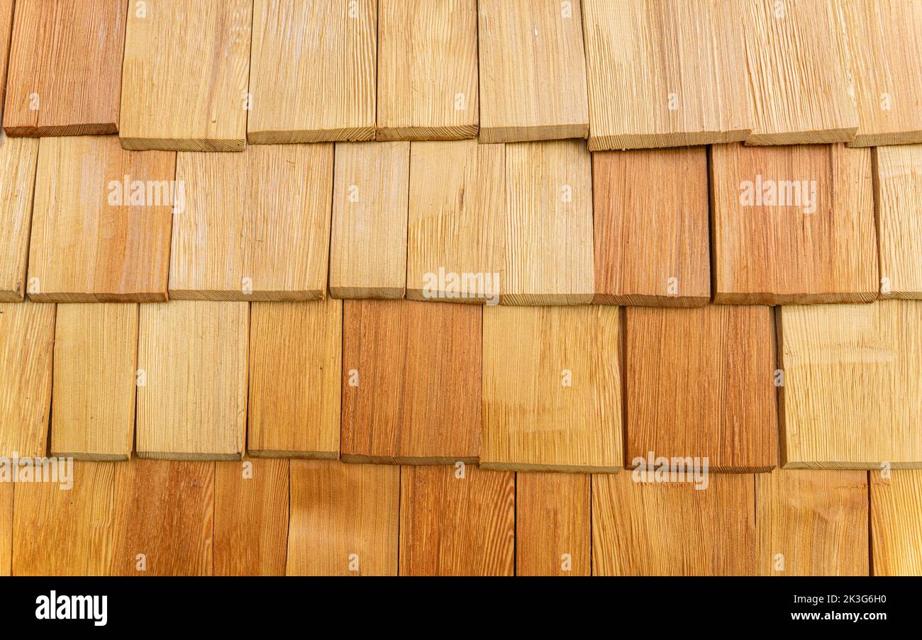 wood texture. background old panels Stock Photo