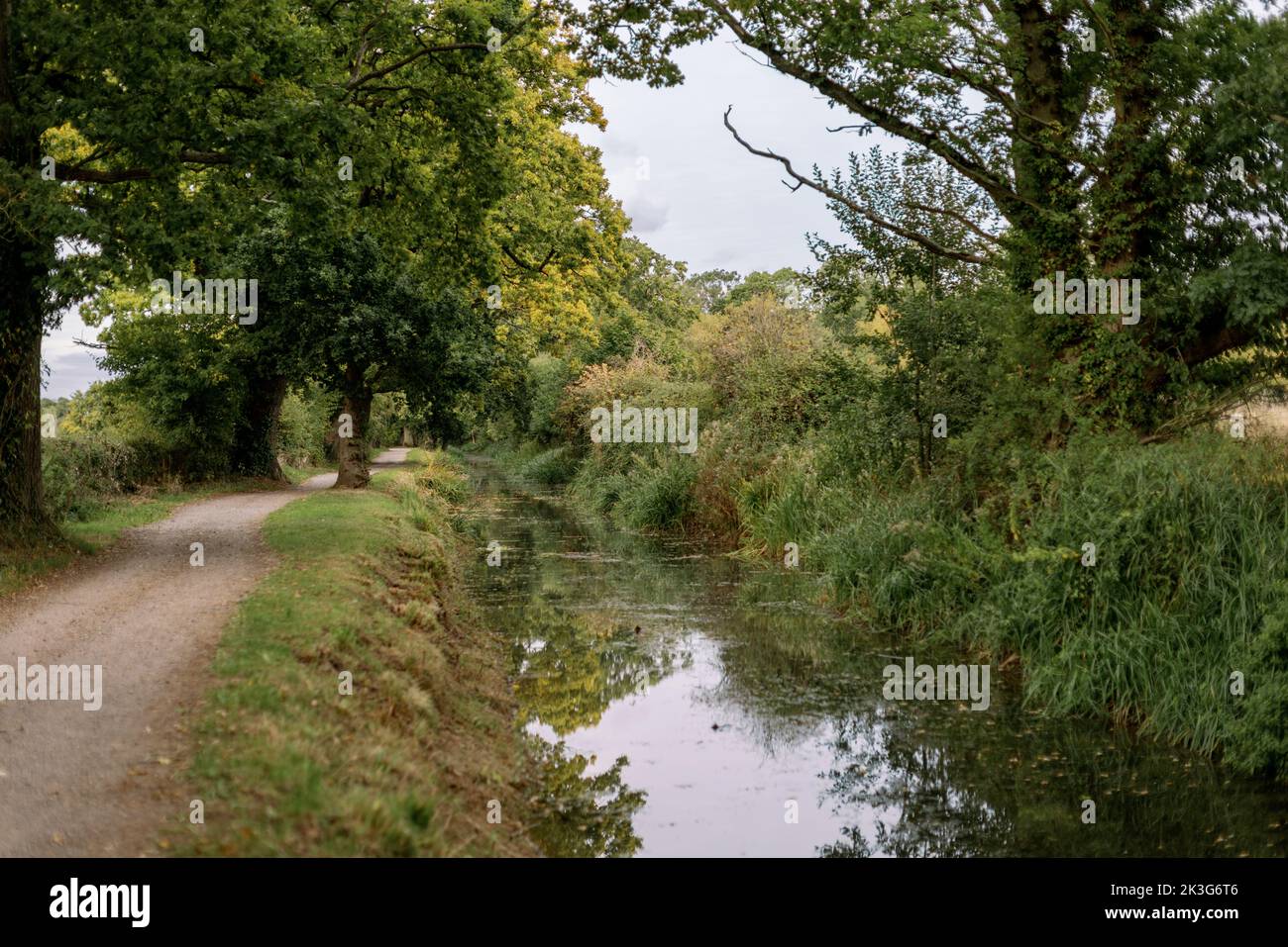 A repaired, reclaimed section of the Wilts. and Berks. Canal near Pewsham in Chippenham, Wiltshire. Repaired by The Wilts and Berks Canal Trust. Stock Photo