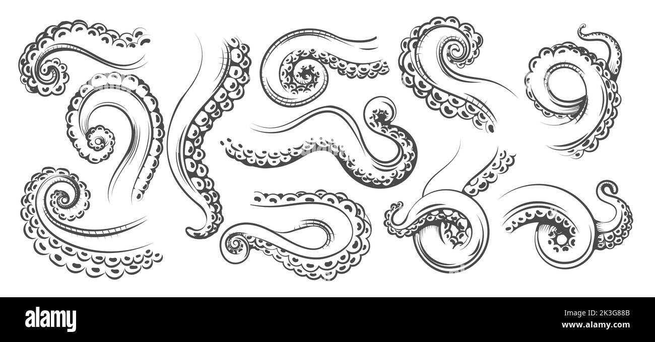 Tentacles monochrome sketch Stock Vector Image & Art Alamy