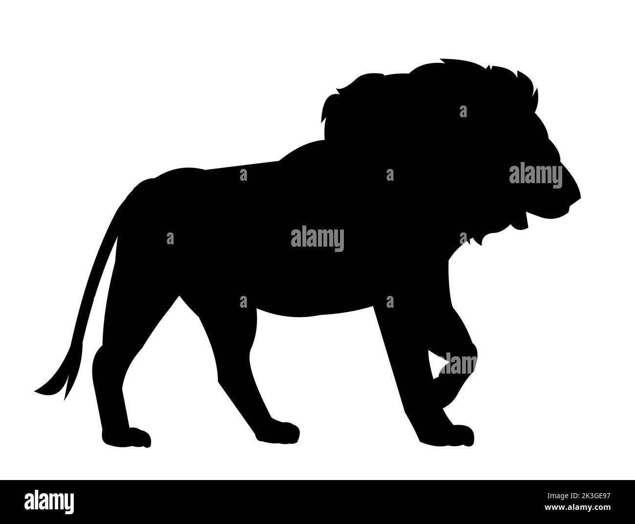Adult lion. African savanna predator. Silhouette picture. Dangerous animal in natural conditions. Isolated on white background. Vector. Stock Vector