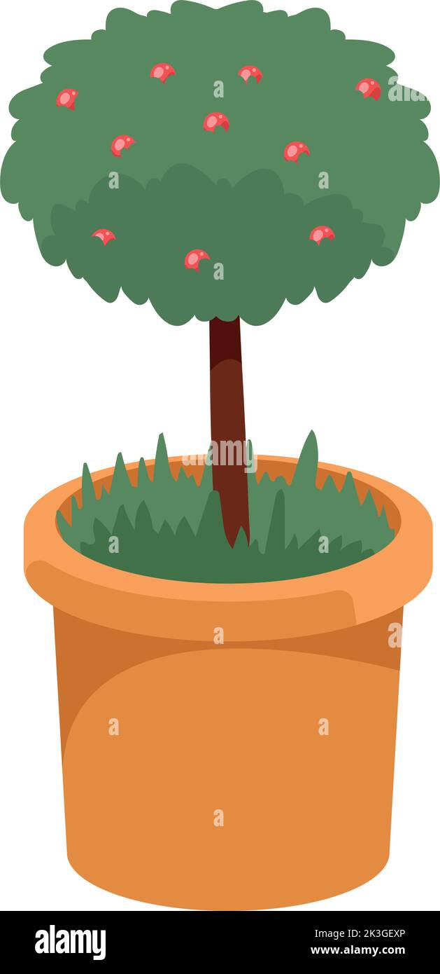 houseplant tree in pot Stock Vector Image & Art - Alamy