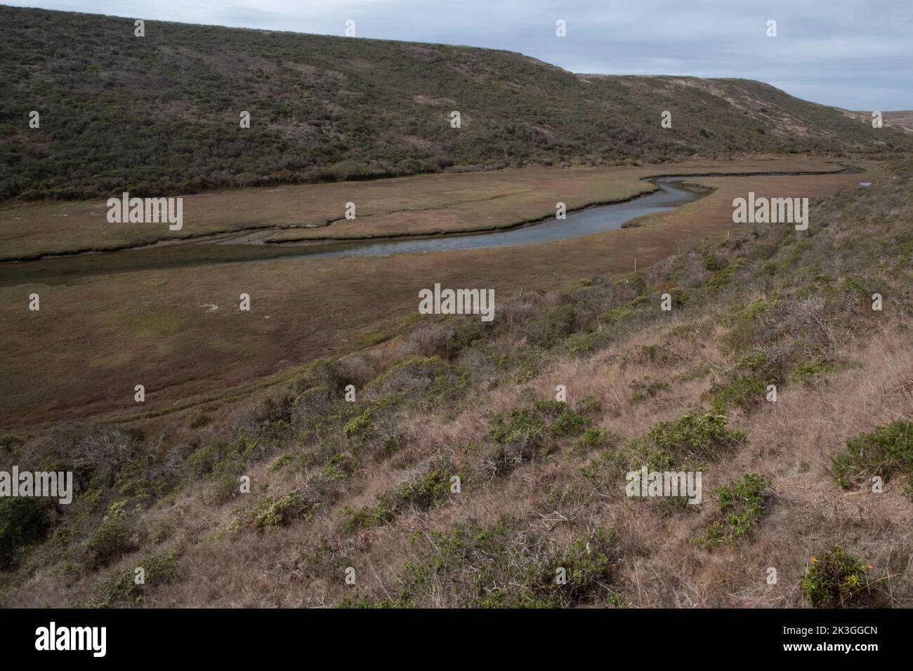 A small river winding through grassy hills on the West coast of North America in California, USA. Stock Photo