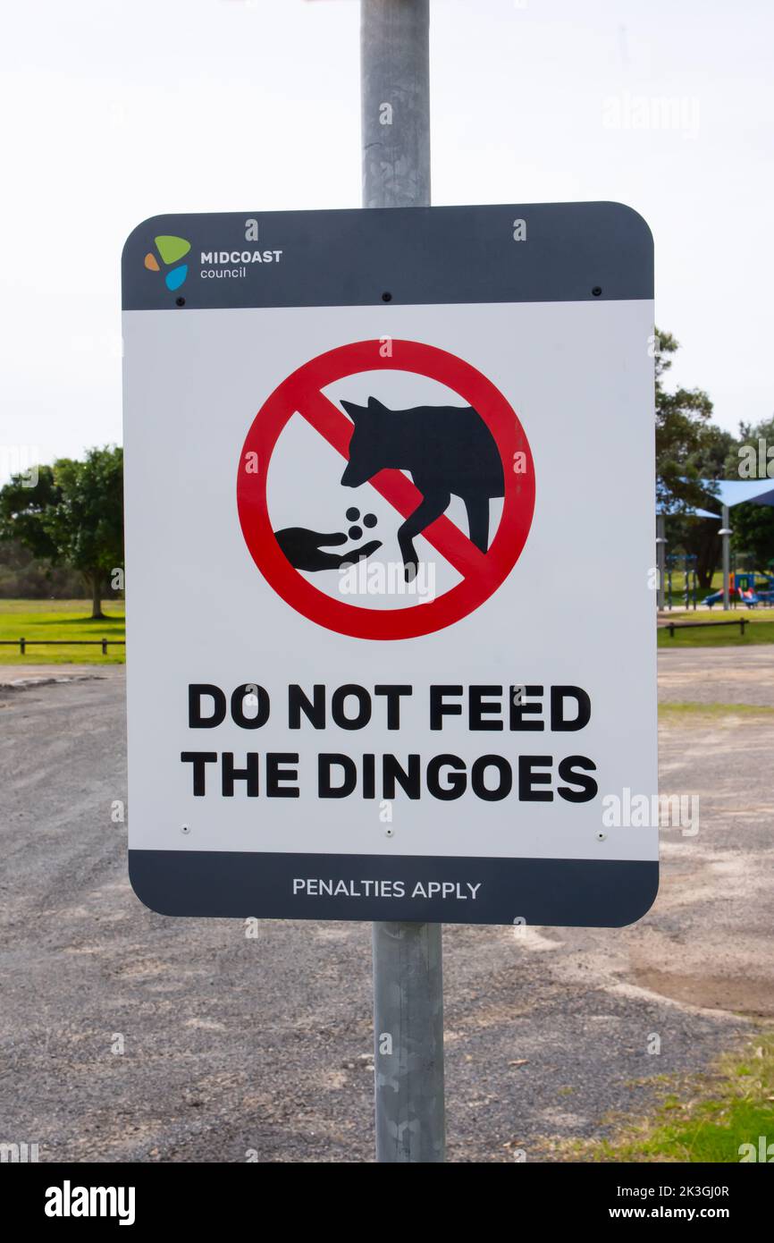 Sign Do Not Feed The Dingoes at Hawks Nest NSW Australia. Stock Photo