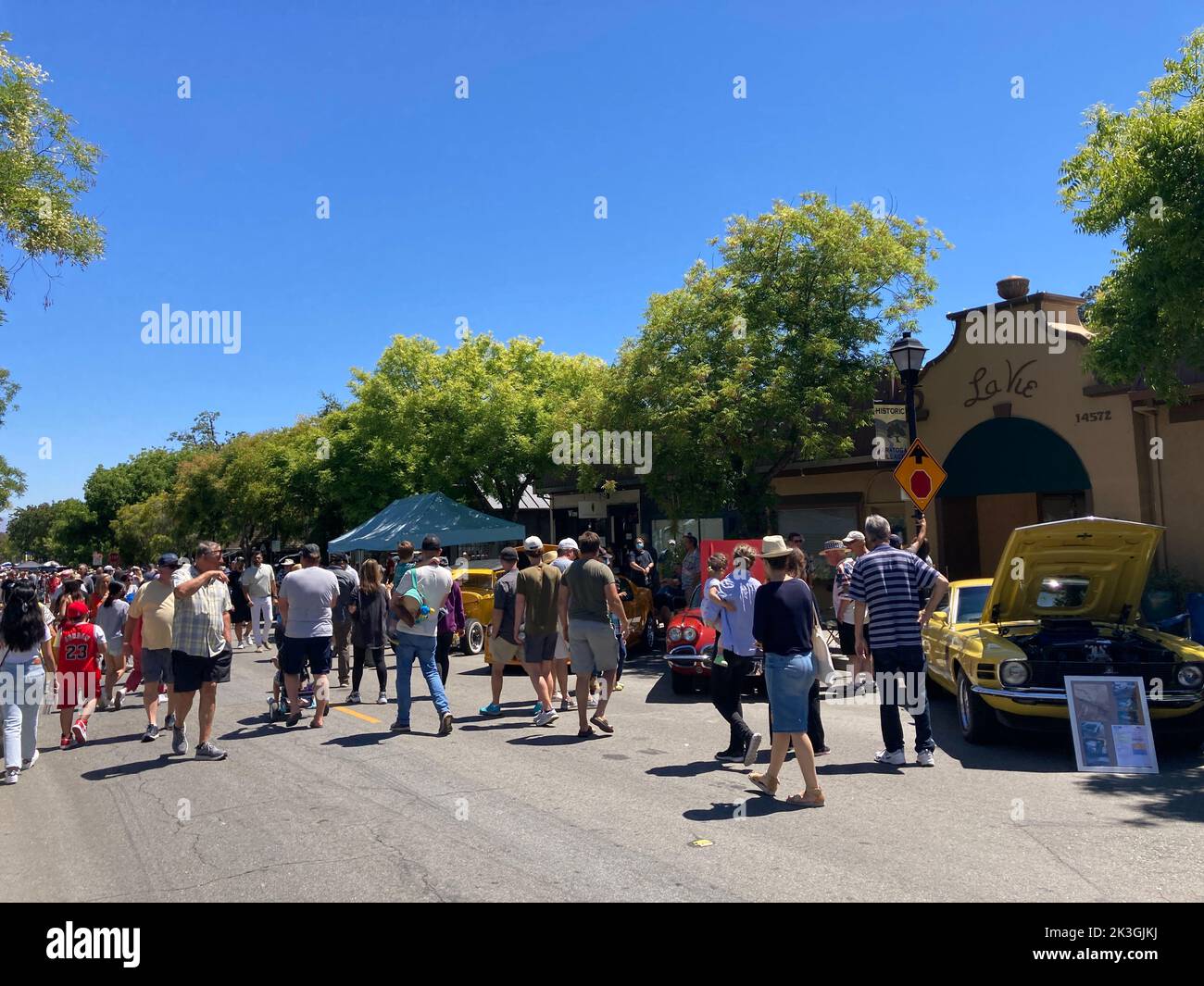 Colorful cars parked and displayed on the street during Classic and