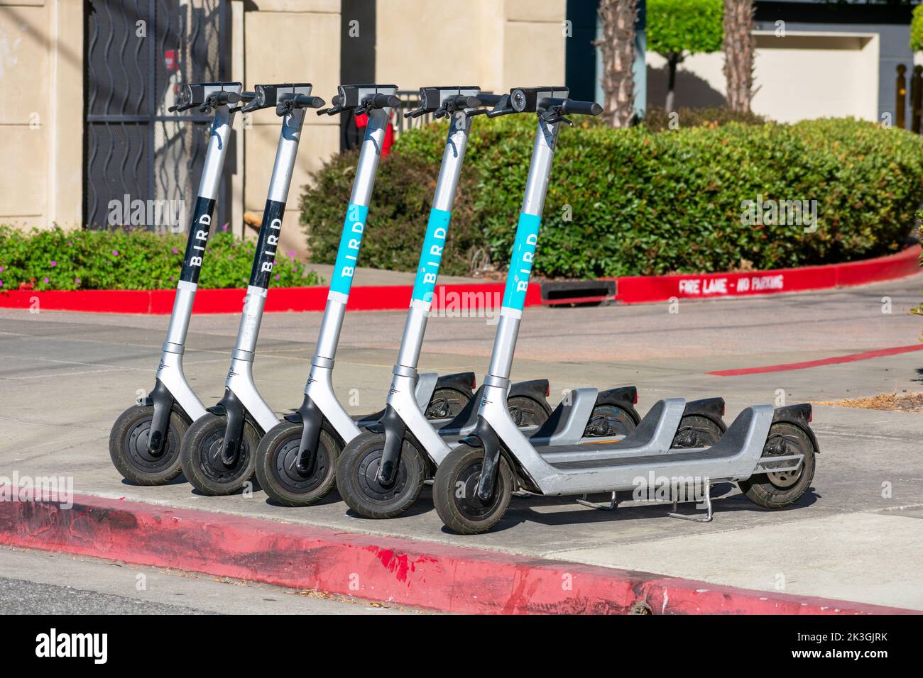 Bird Sign On Electric Dockless Rideshare Scooters Parked On The Urban ...