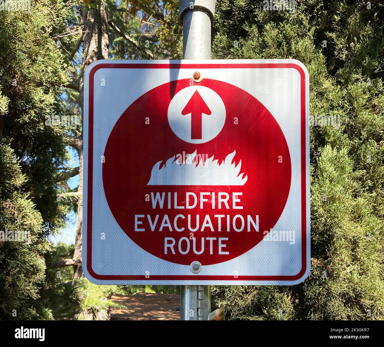 Red wildfire evacuation route sign with ahead arrow that point in the correct direction of voluntary or mandatory egress during fire emergency. Stock Photo