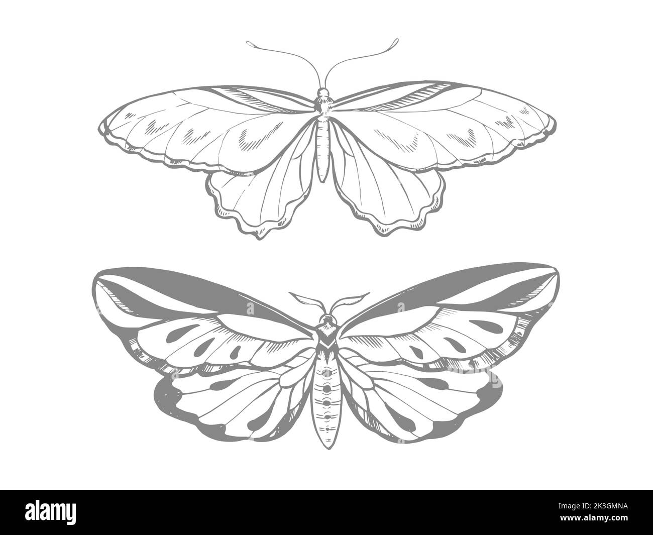 Stylized butterflies, line art, vector illustration Stock Vector