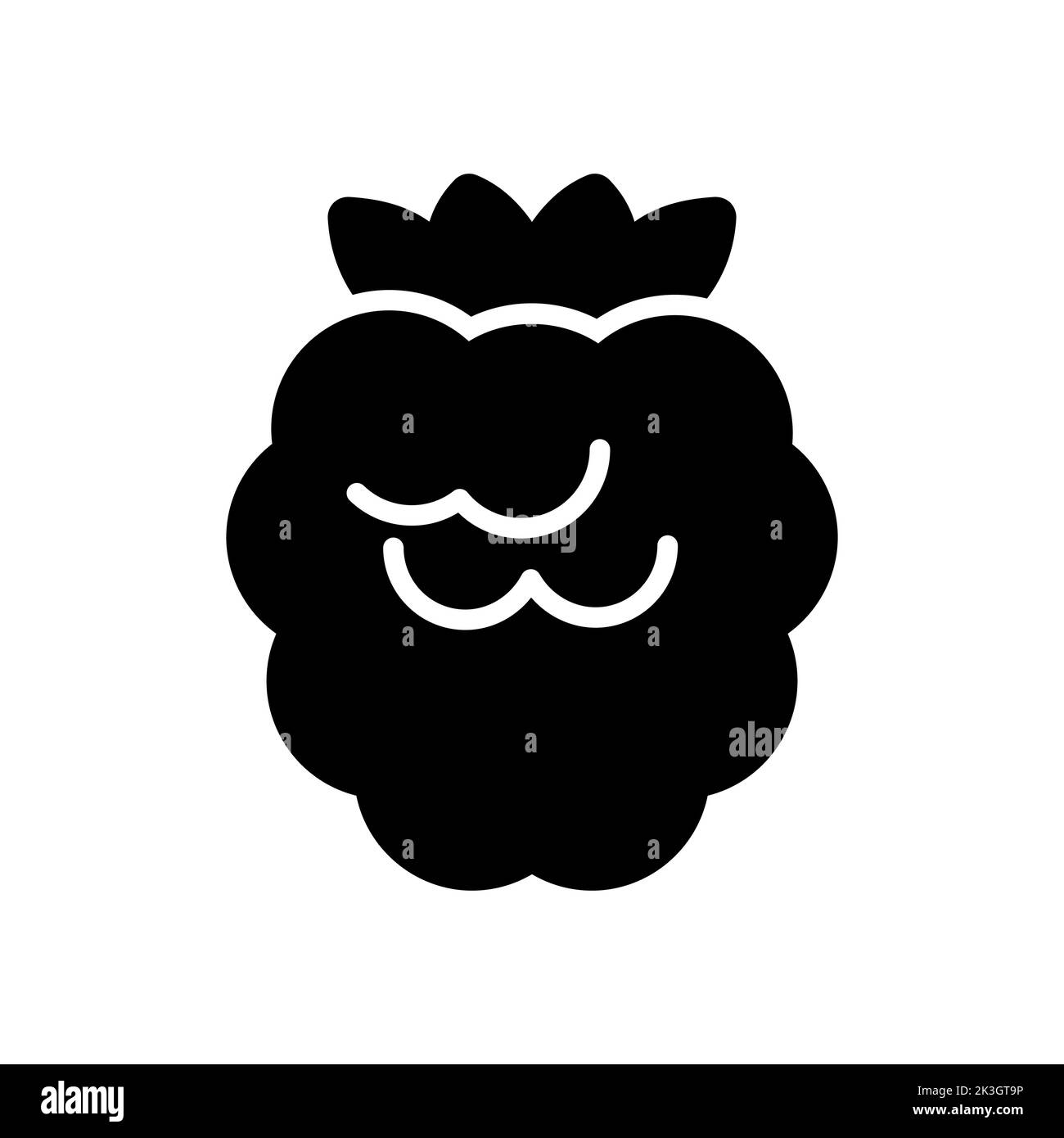 Raspberry, blackberry vector glyph icon. Graph symbol for food and ...
